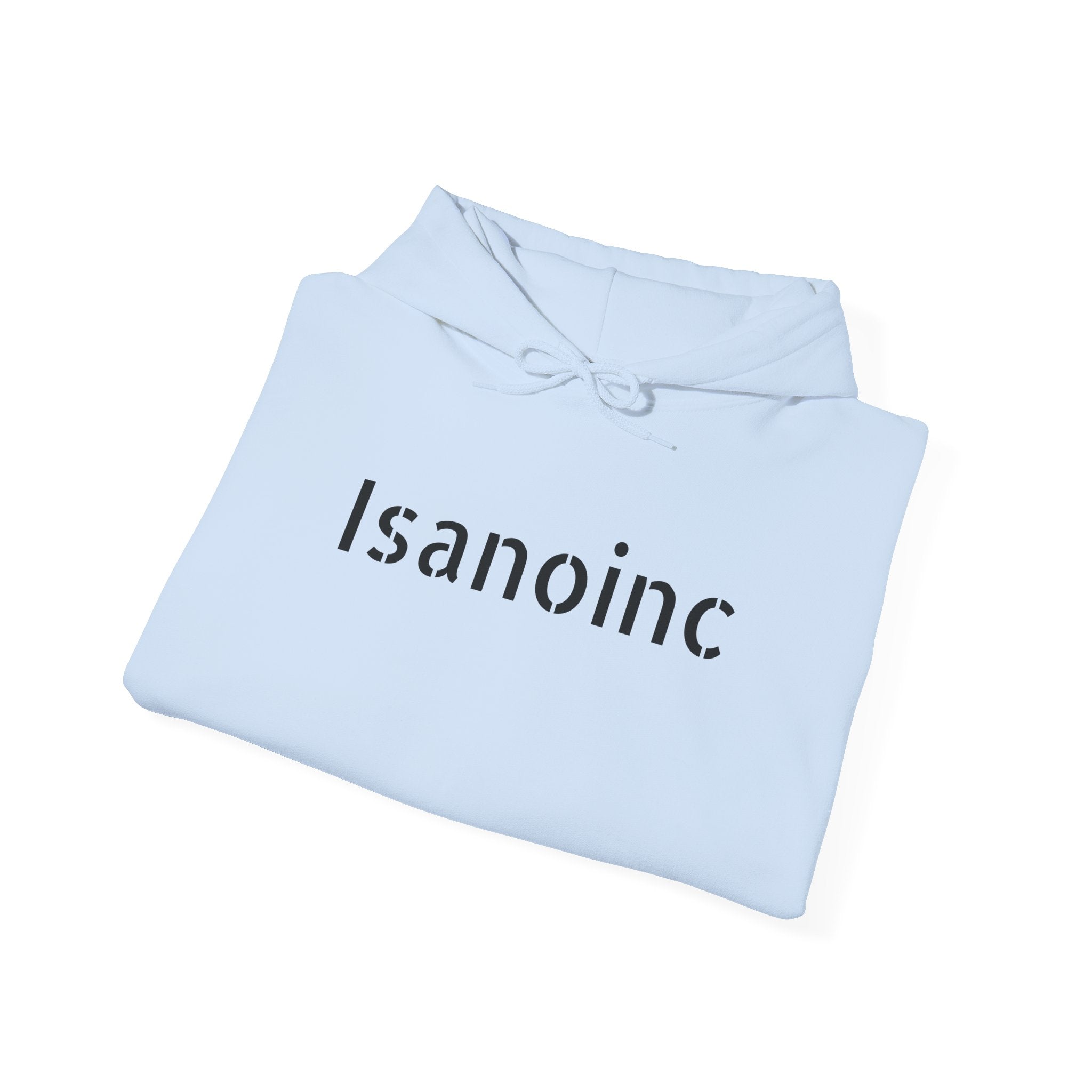 flagship hoodie