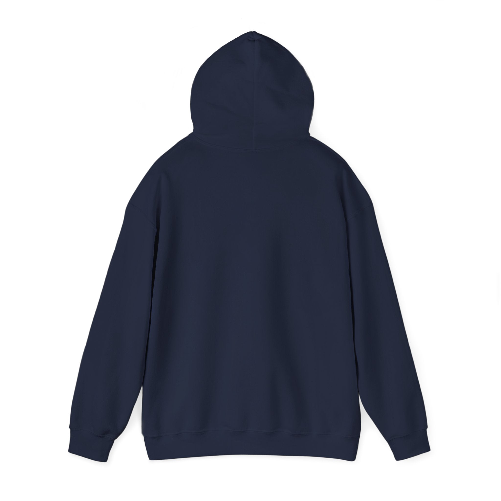 Flagship hoodie - minimalistic