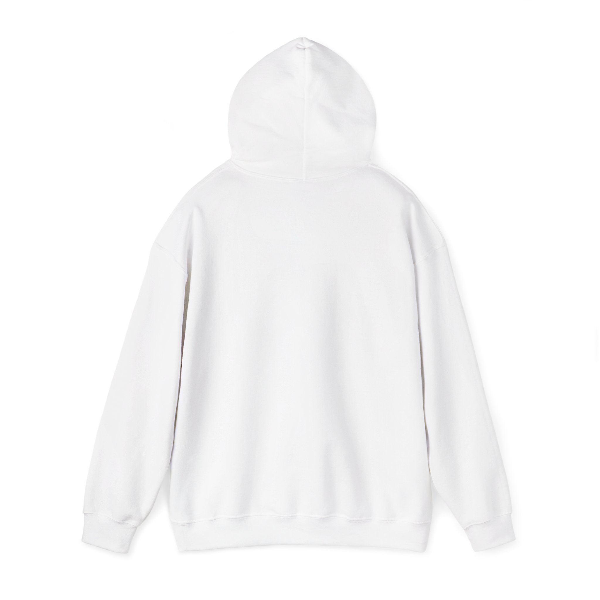Flagship hoodie - minimalistic