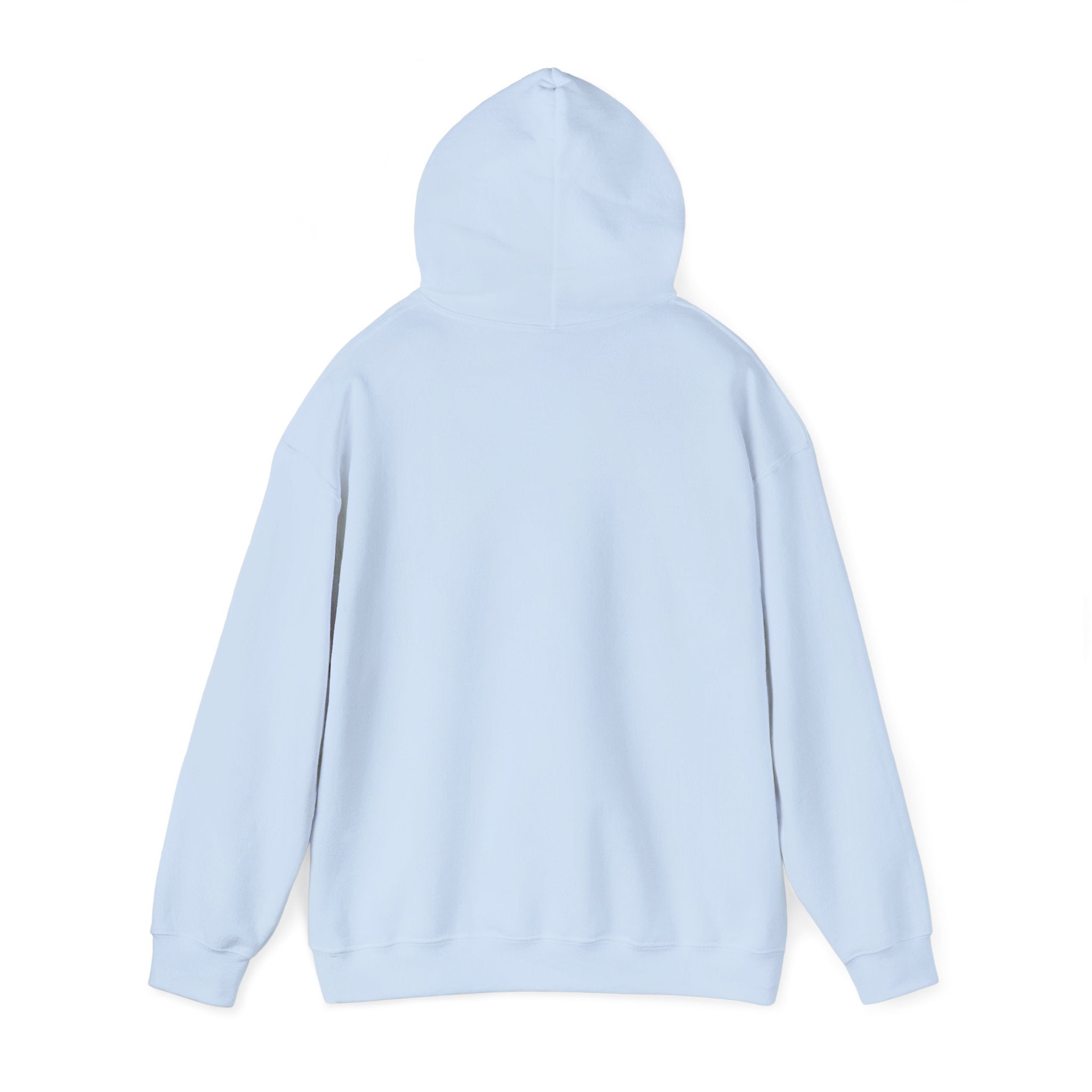 Flagship hoodie - minimalistic