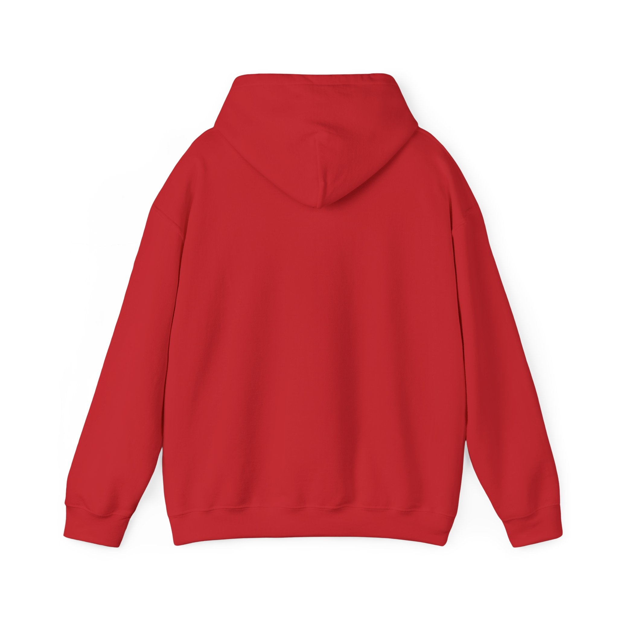 Flagship hoodie - minimalistic