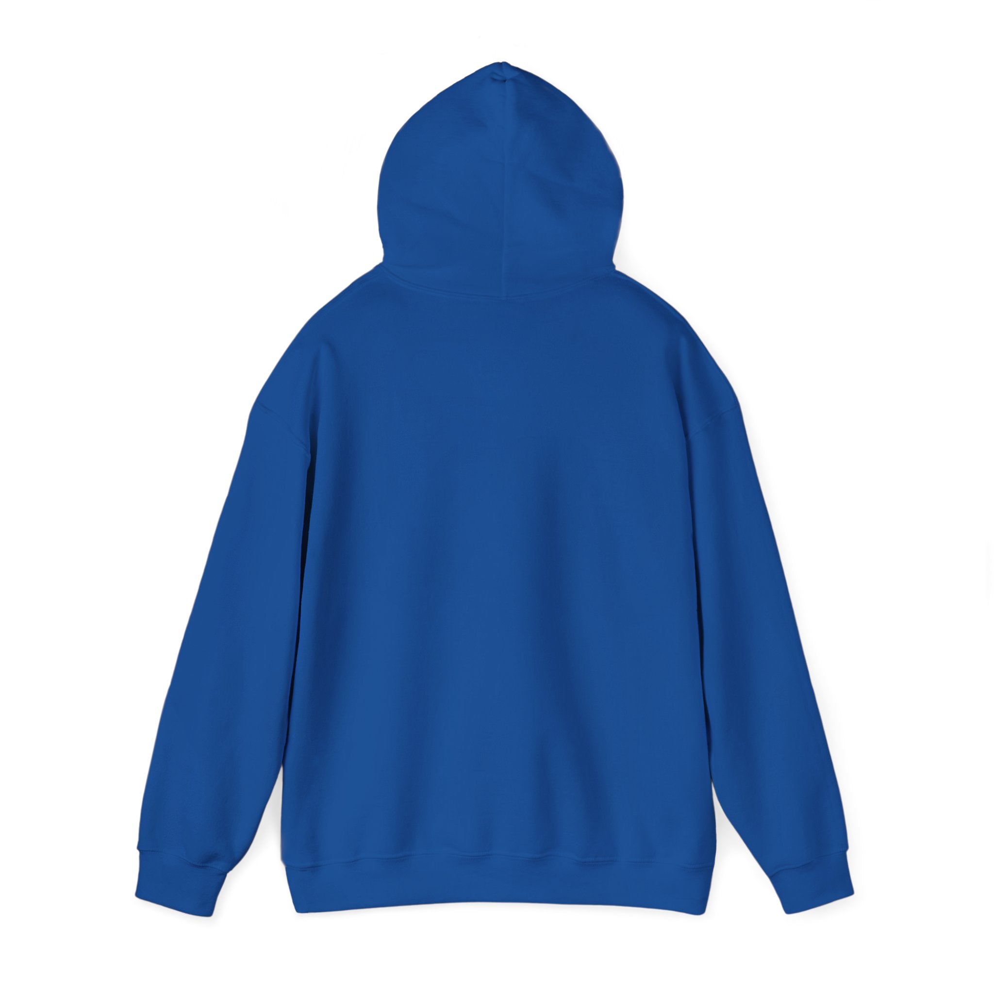 Flagship hoodie - minimalistic