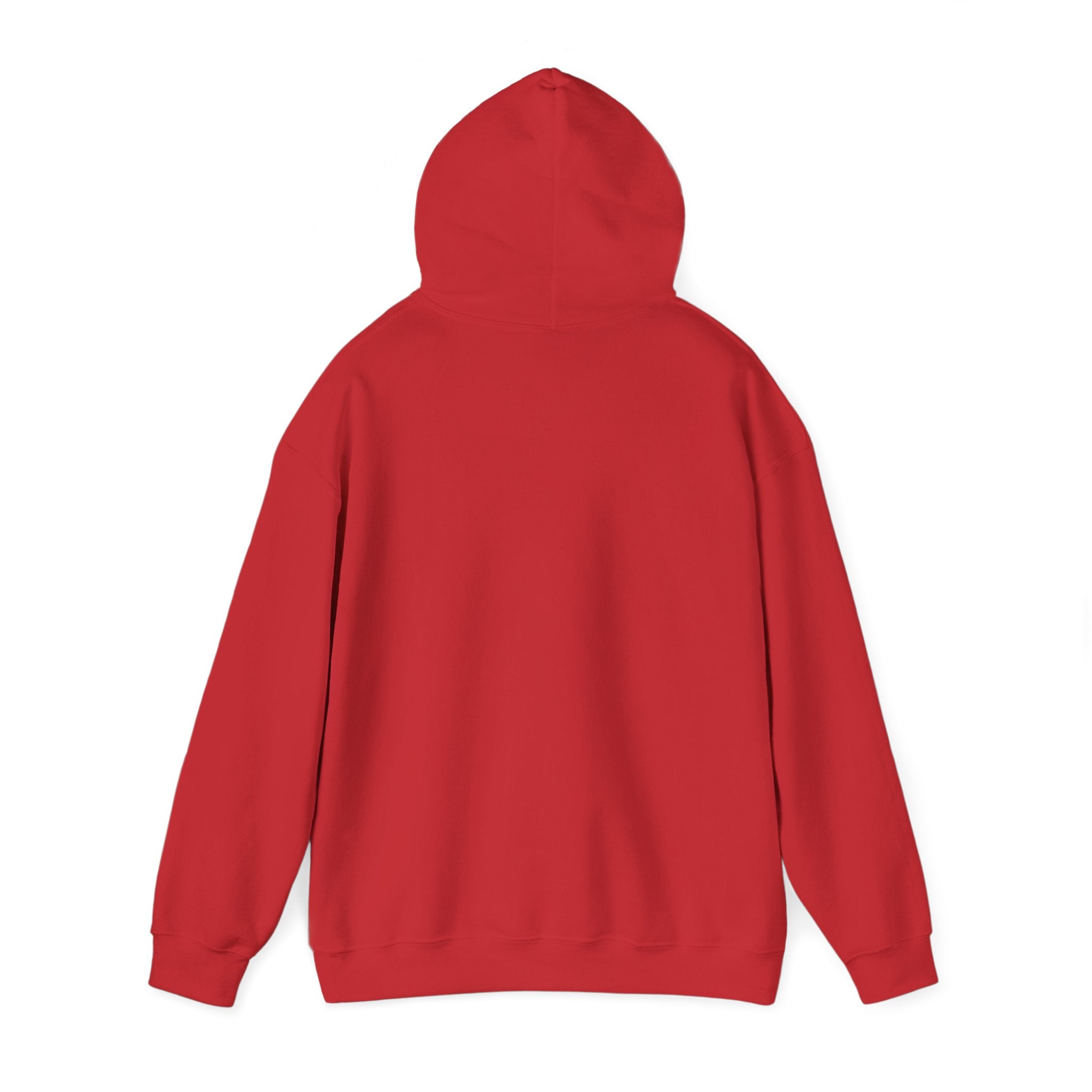 Flagship hoodie - minimalistic