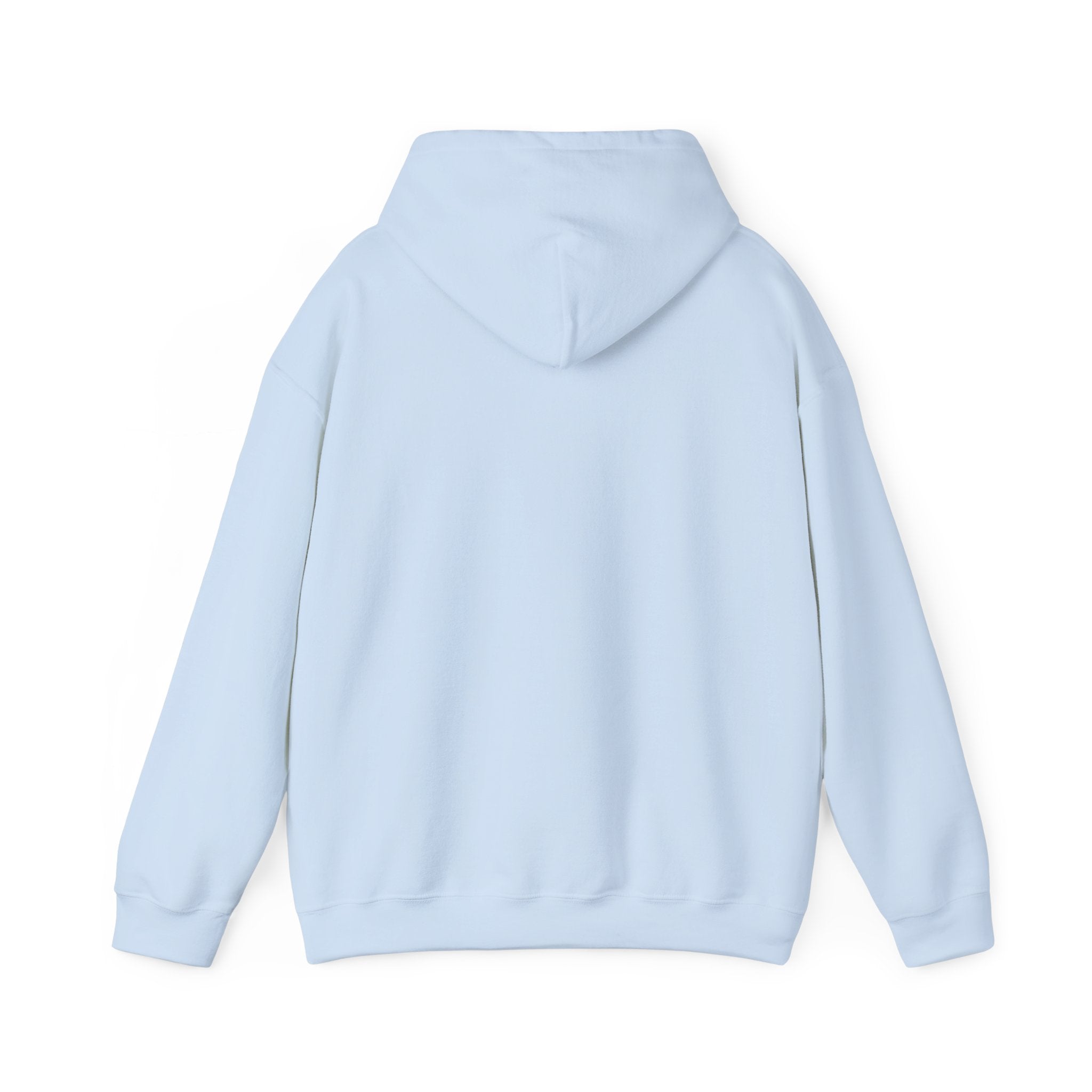 Flagship hoodie - minimalistic