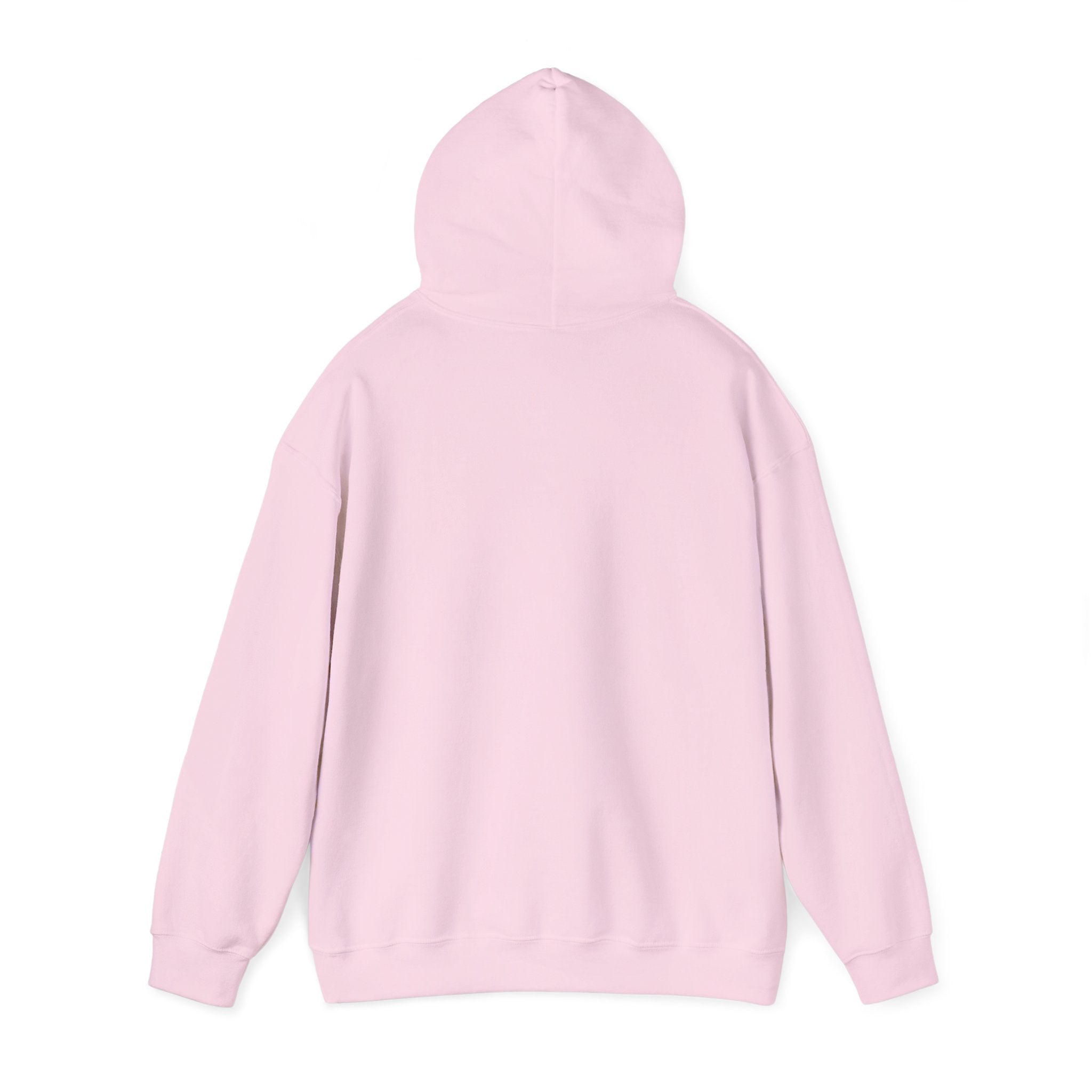 Flagship hoodie - minimalistic