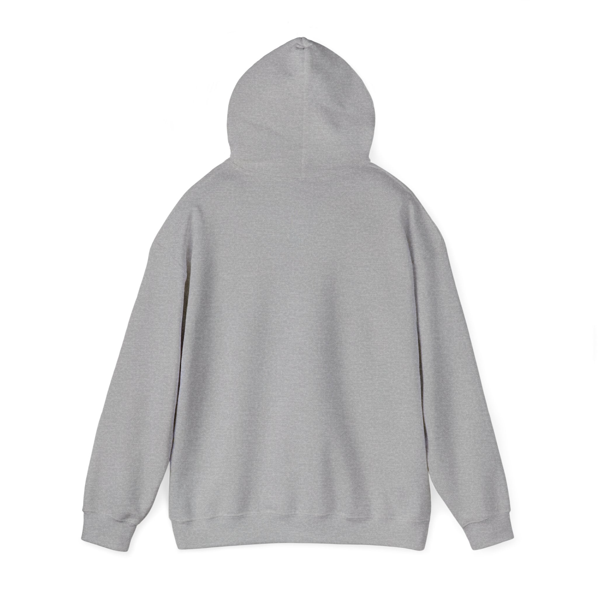 Flagship hoodie - minimalistic