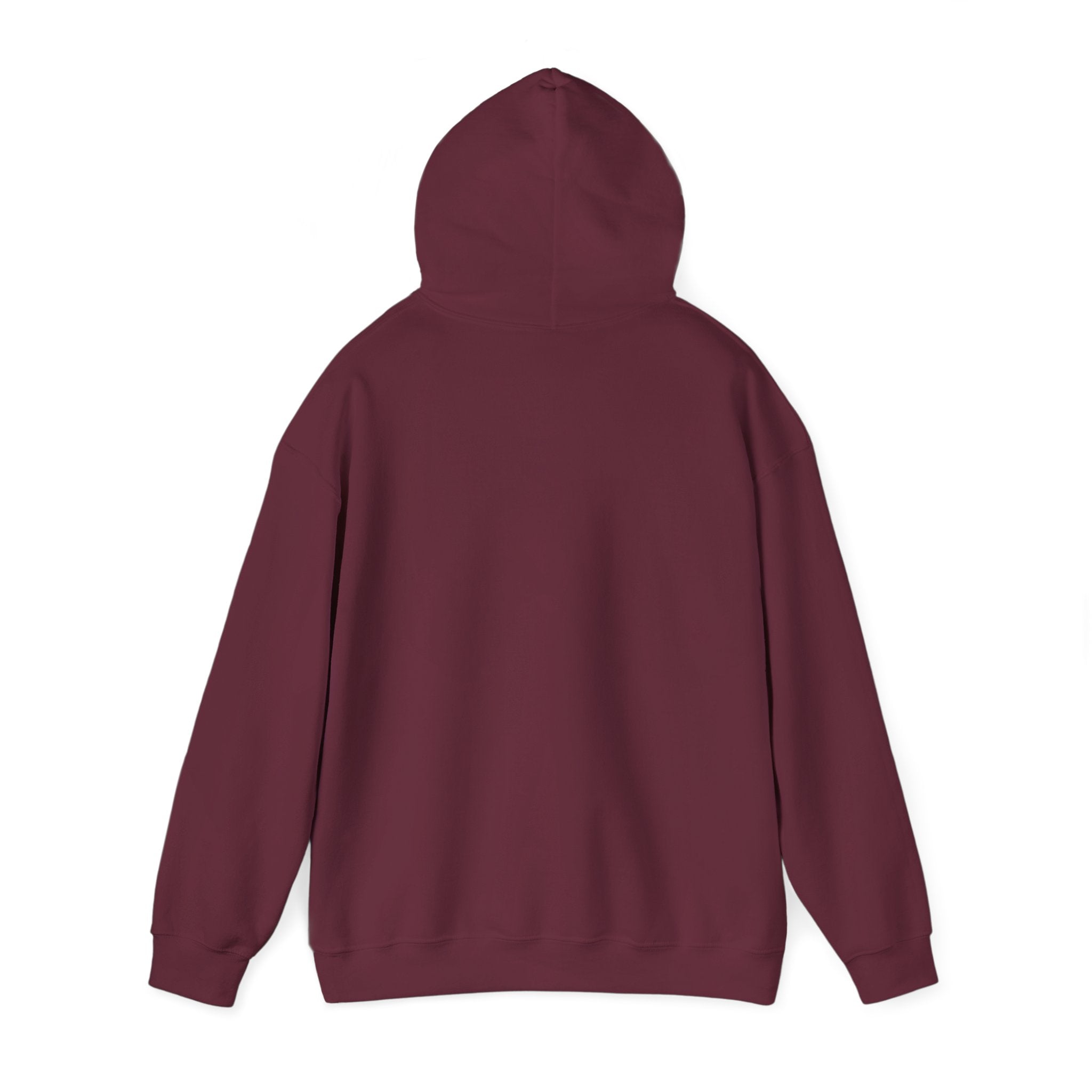 Flagship hoodie - minimalistic