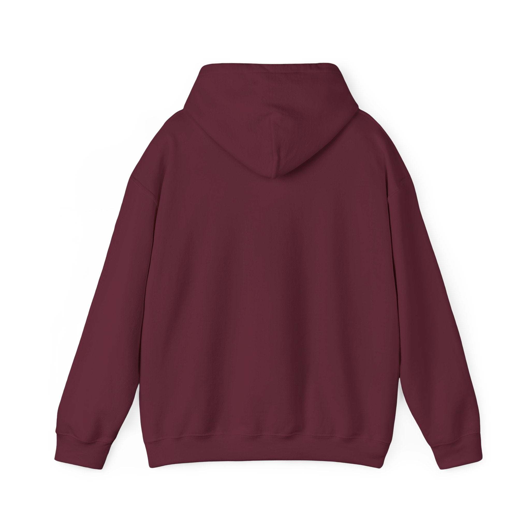Flagship hoodie - minimalistic