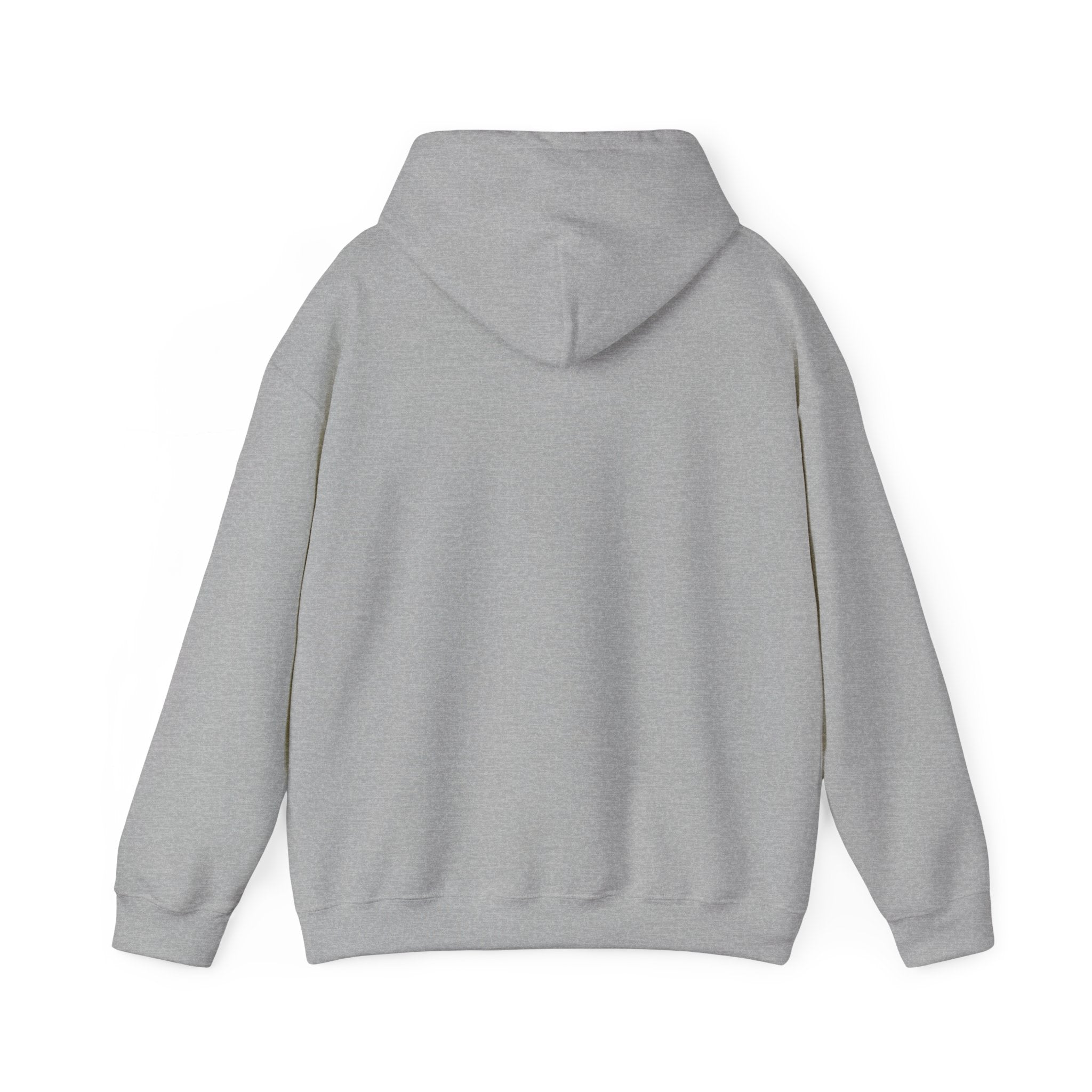 Flagship hoodie - minimalistic