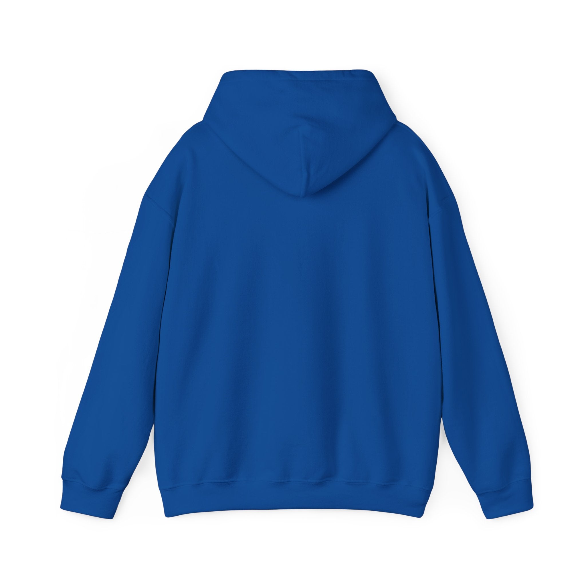 Flagship hoodie - minimalistic