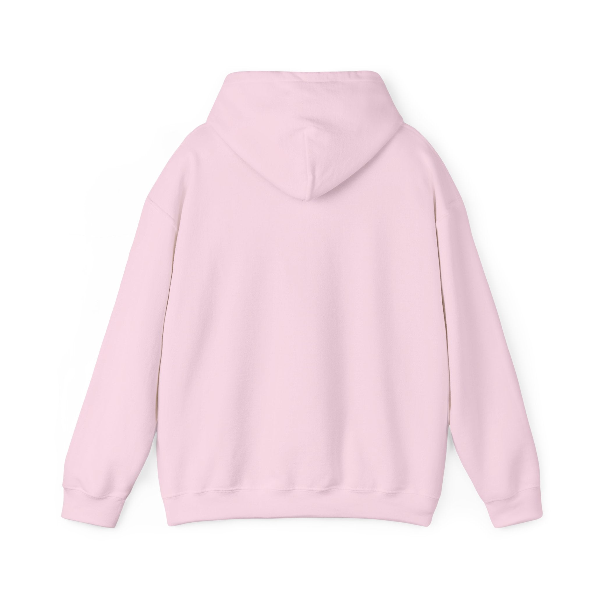 Flagship hoodie - minimalistic