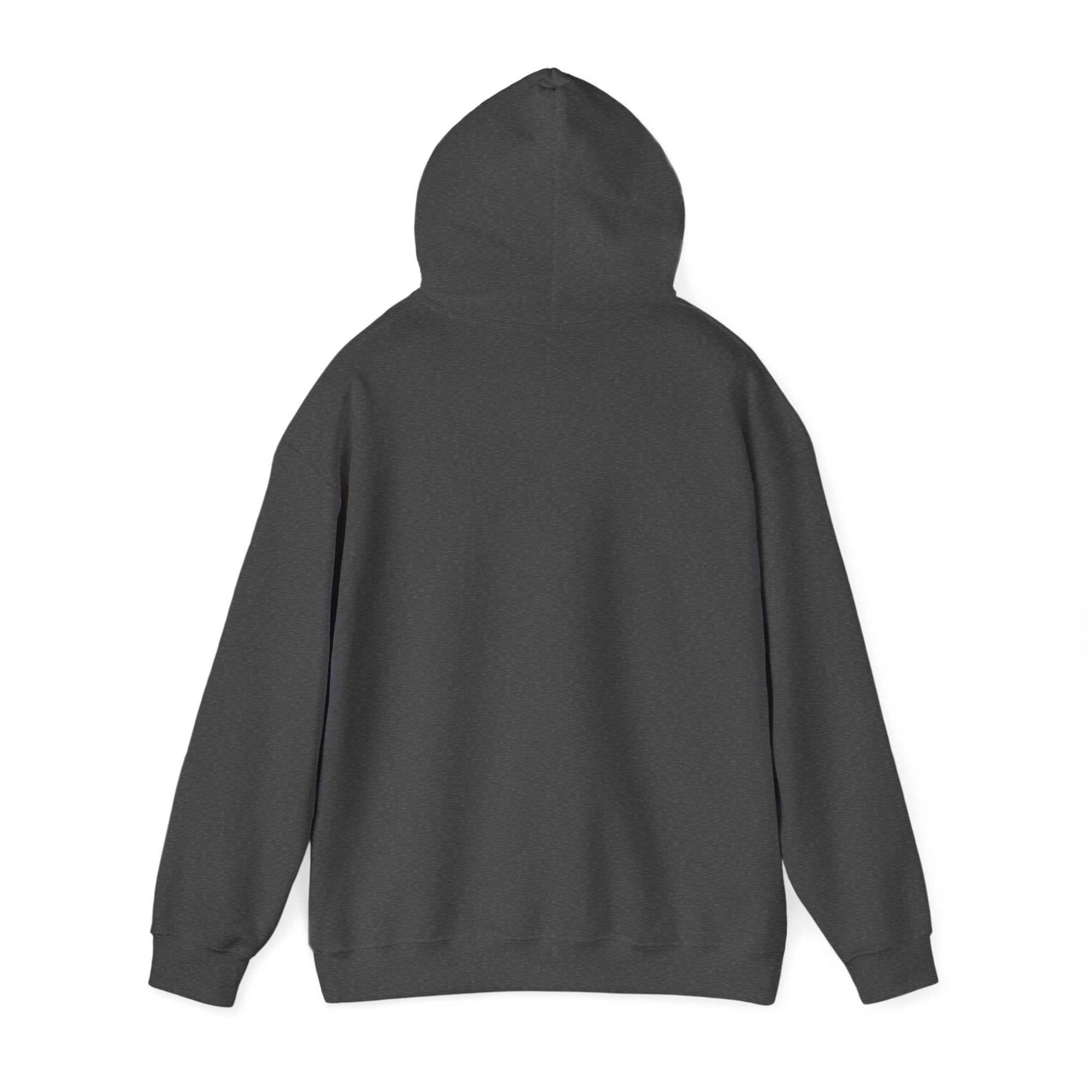 Flagship hoodie - minimalistic