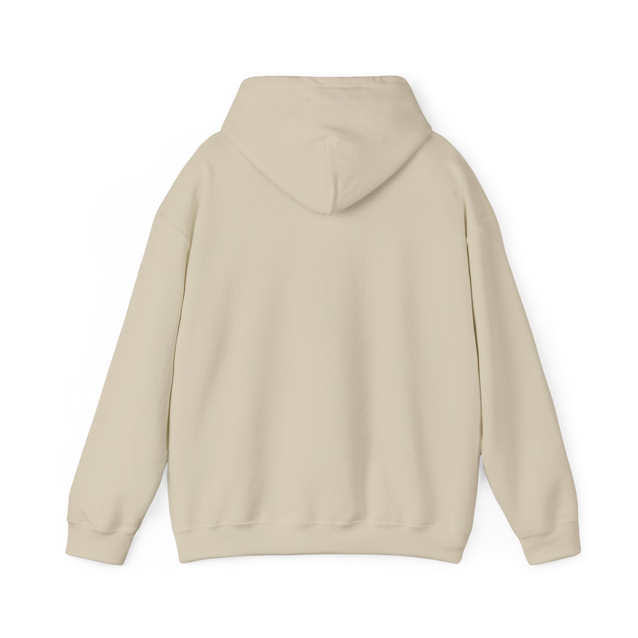 Flagship hoodie - minimalistic