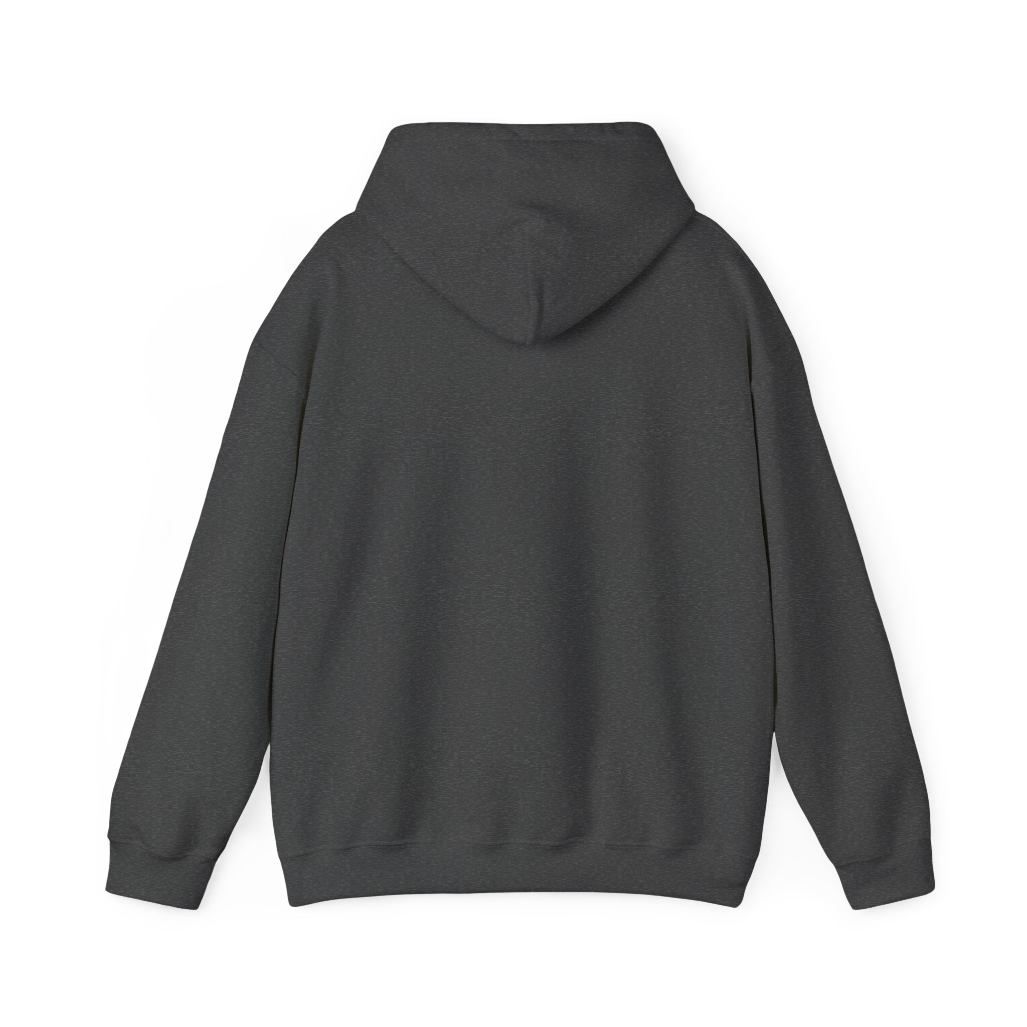 Flagship hoodie - minimalistic