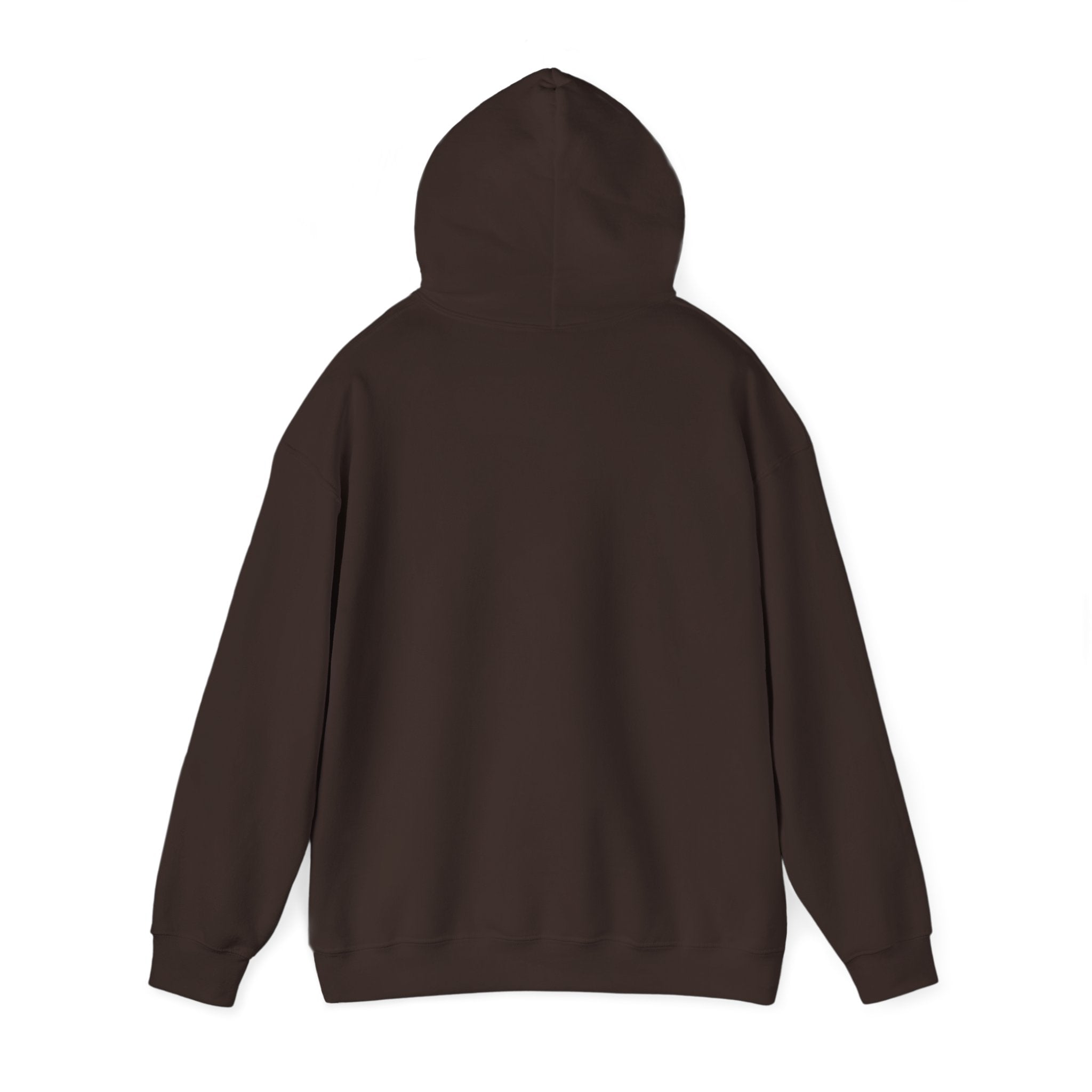 Flagship hoodie - minimalistic