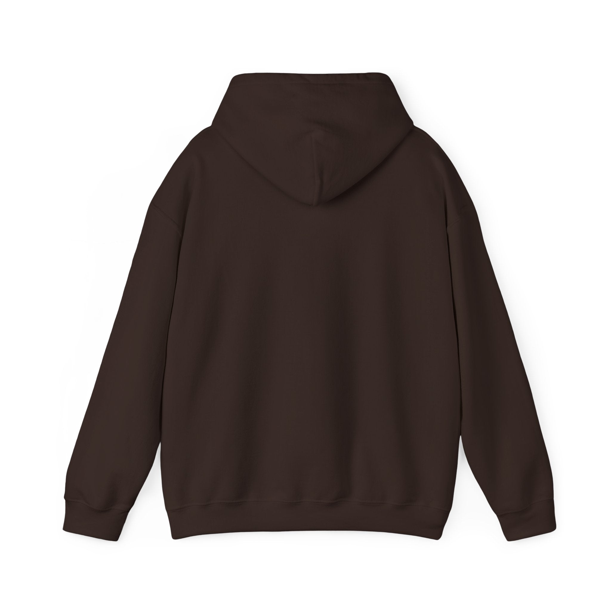 Flagship hoodie - minimalistic