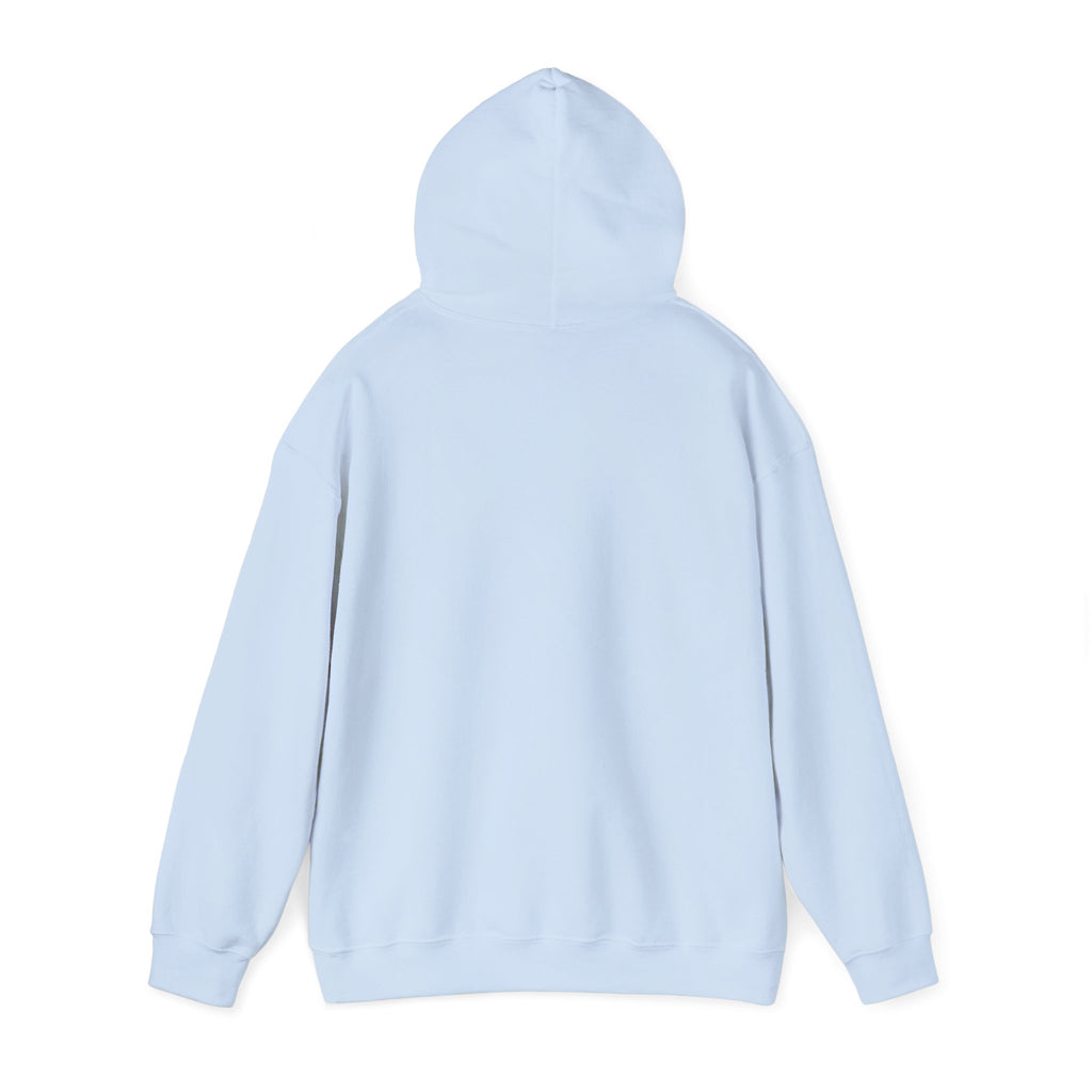 Flagship hoodie - minimalistic