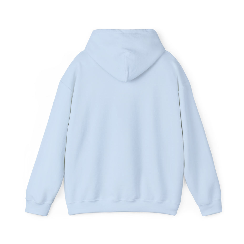Flagship hoodie - minimalistic