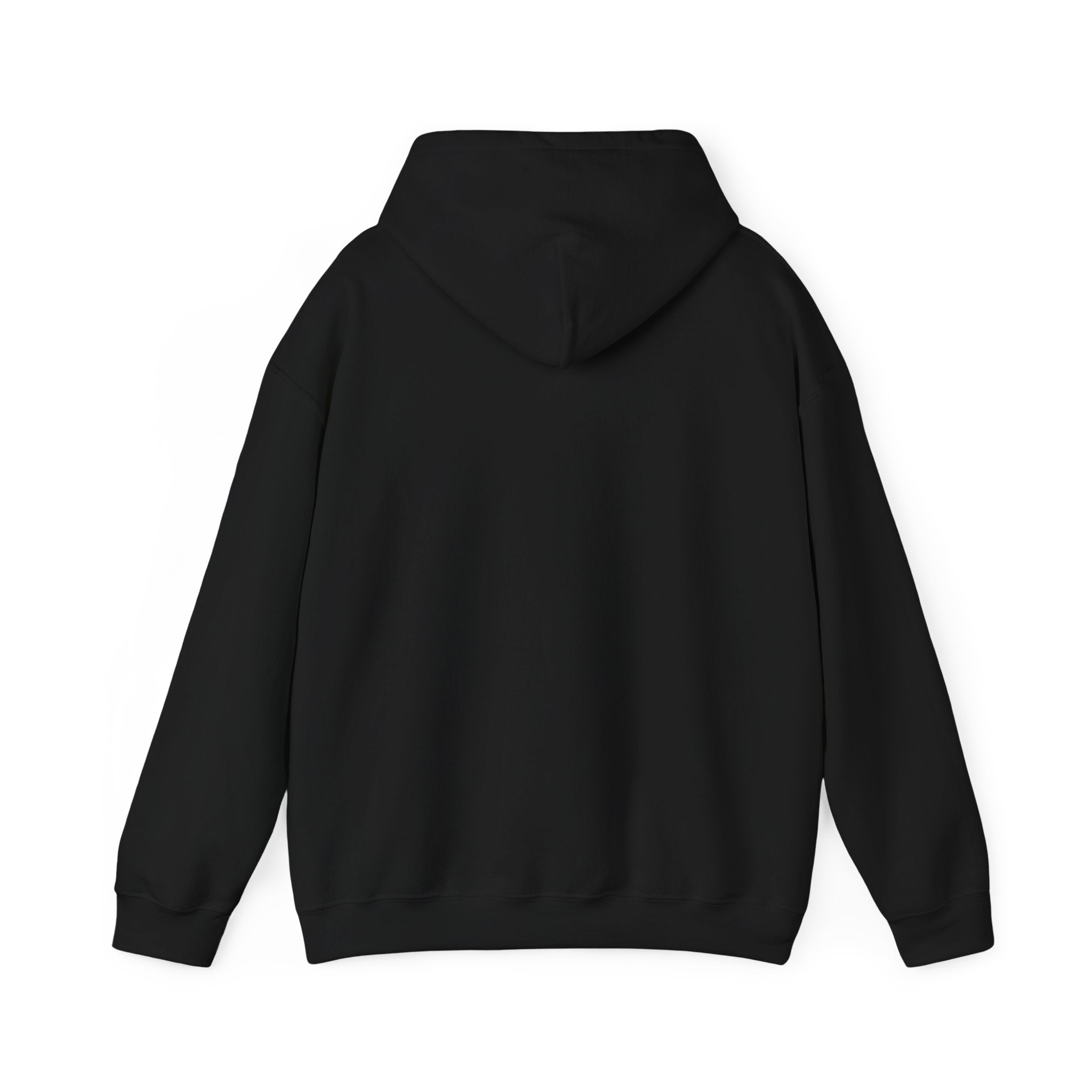 Flagship hoodie - minimalistic