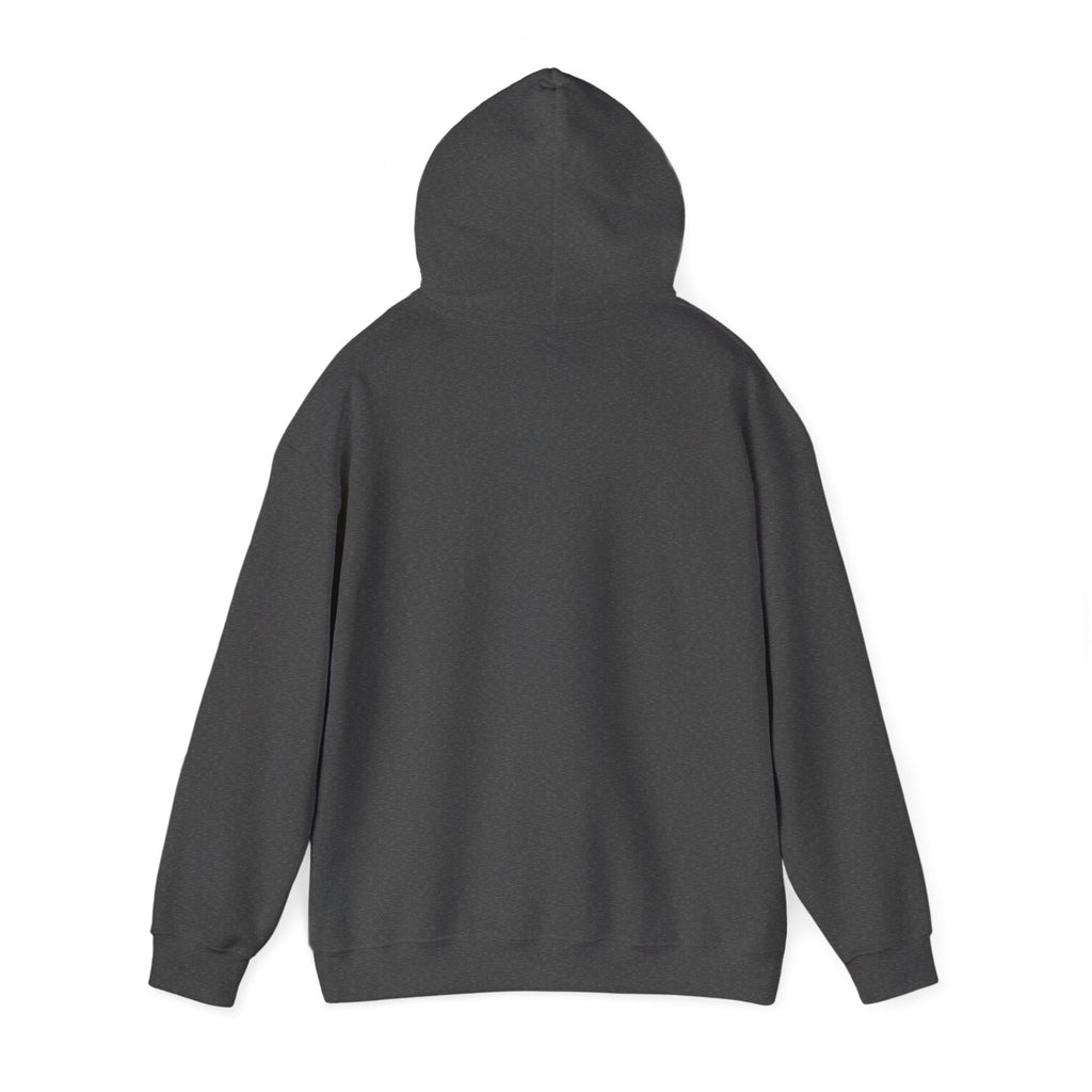 Flagship hoodie - minimalistic