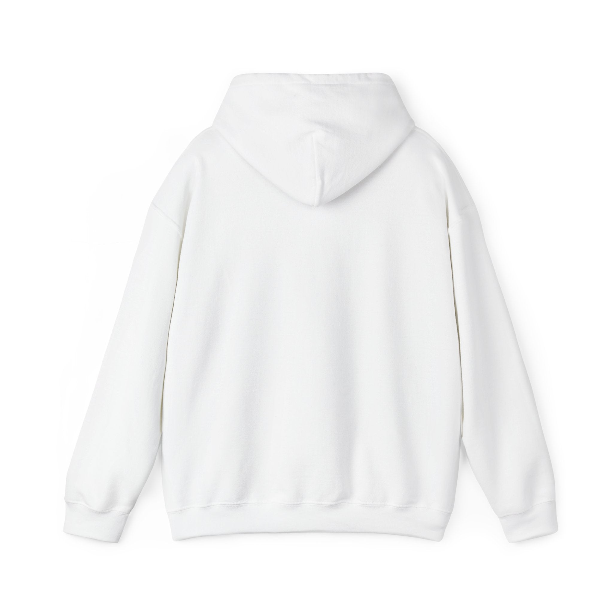 Flagship hoodie - minimalistic