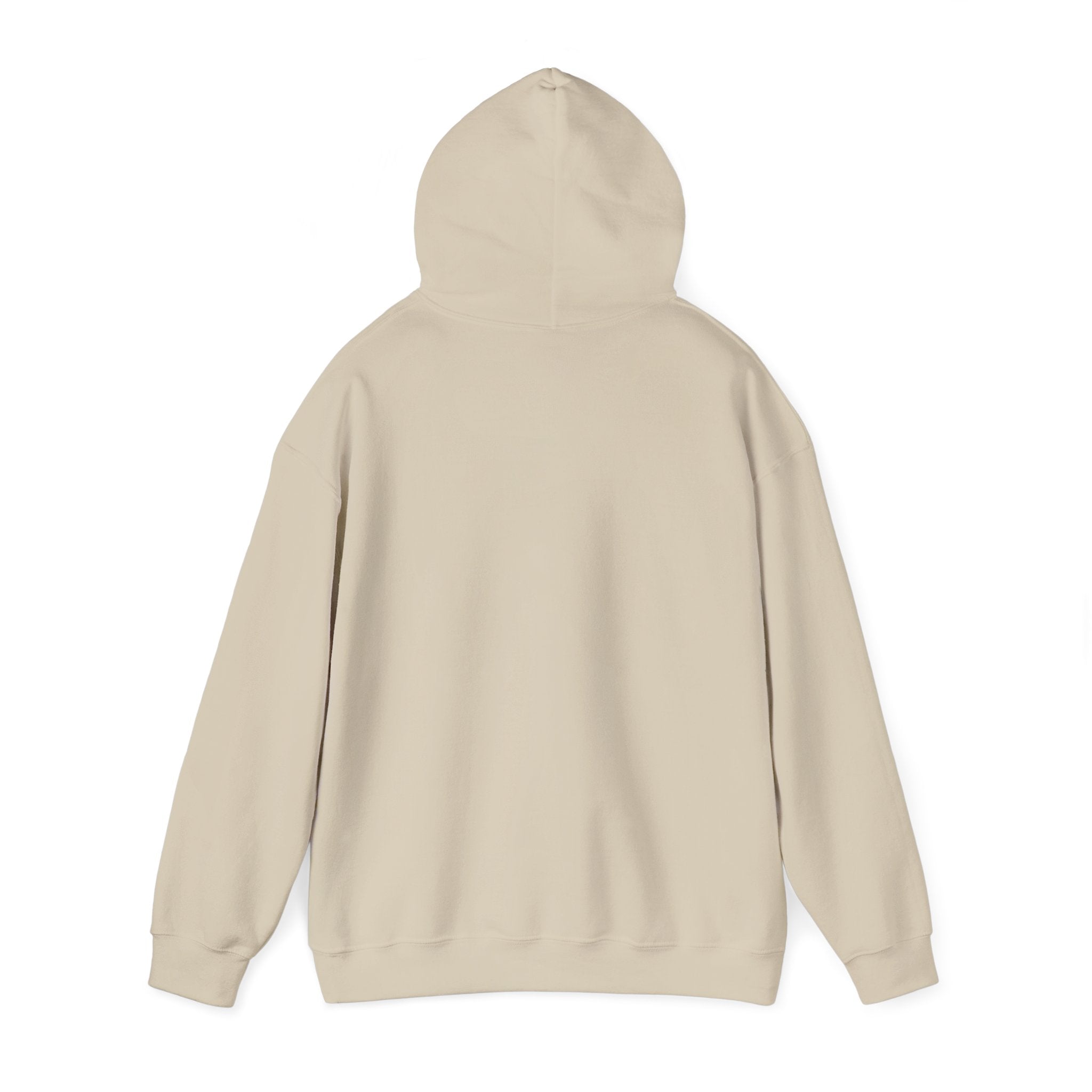 Flagship hoodie - minimalistic